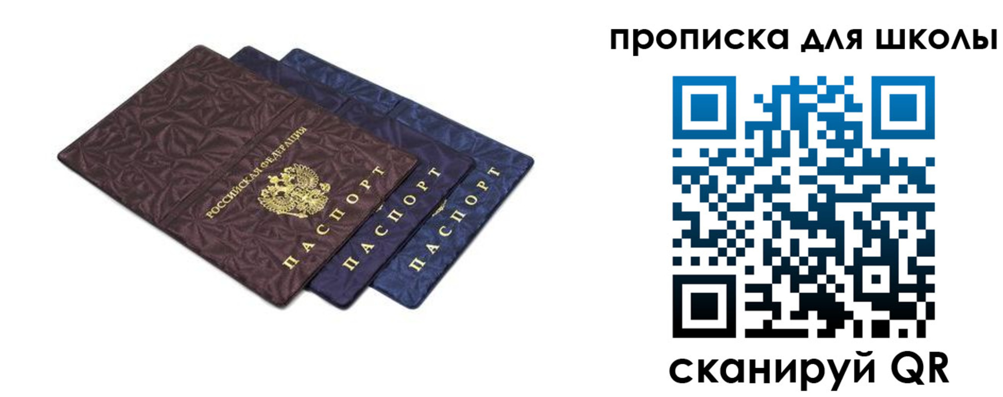 прописка в квартире в Ленинградской области